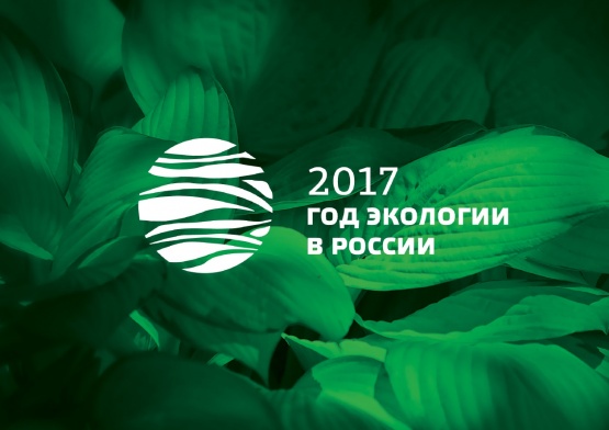 2017 год - год экологии в России!